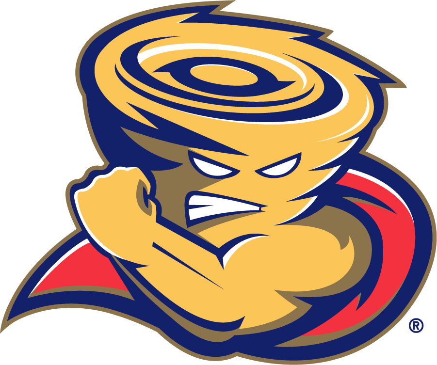 Tulsa Golden Hurricane 2006-2009 Mascot Logo iron on transfers for T-shirts